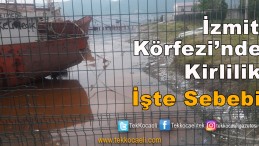 İzmit Körfezi’nde Kirliliğin Sebebi Açıklandı