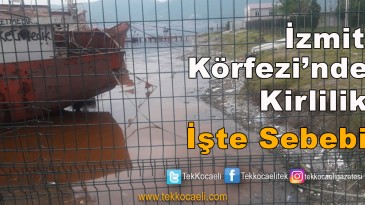 İzmit Körfezi’nde Kirliliğin Sebebi Açıklandı