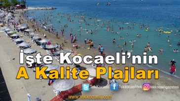 Mavi Bayraklı Plajlar