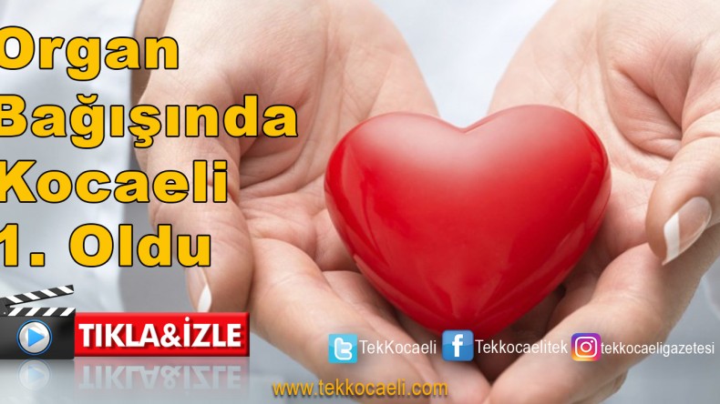 Kocaeli Organ Bağışında Zirveyi Bırakmıyor