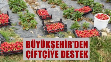 Çiftçiye Hibe Desteği