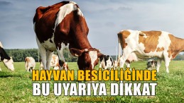 Hayvan Besiciliğine Bu Bölgelerde İzin Yok