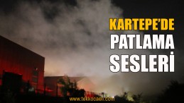 Kartepe Suadiye’de Yangın