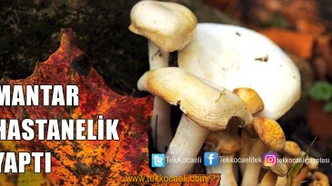 Mantar Yiyen Aile, Hastaneye Kaldırıldı