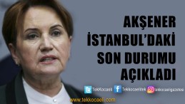 Meral Akşener Anket Sonuçlarını Açıkladı