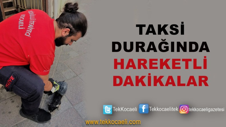 Taksinin Motorundan Kedi Böyle Çıkarıldı