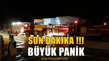 Geceyarısı Büyük Panik