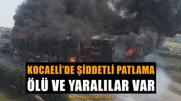 Korkunç Yangında Ölü Sayısı Arttı