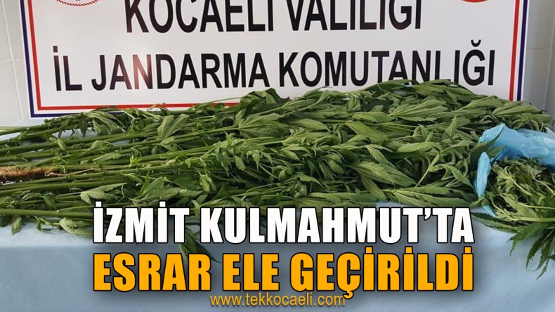 Jandarma’dan Esrar Operasyonu