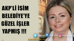 Başkan Hürriyet’i Neden Eleştirdiği Ortaya Çıktı