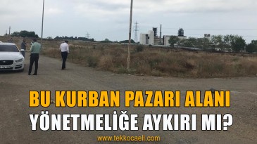 Bu Kurban Pazarı Halk Sağlığını Tehdit Ediyor
