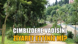 Cımbızdere Vadisi Ziyaretçilerini Bekliyor