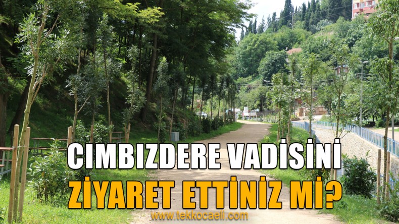 Cımbızdere Vadisi Ziyaretçilerini Bekliyor