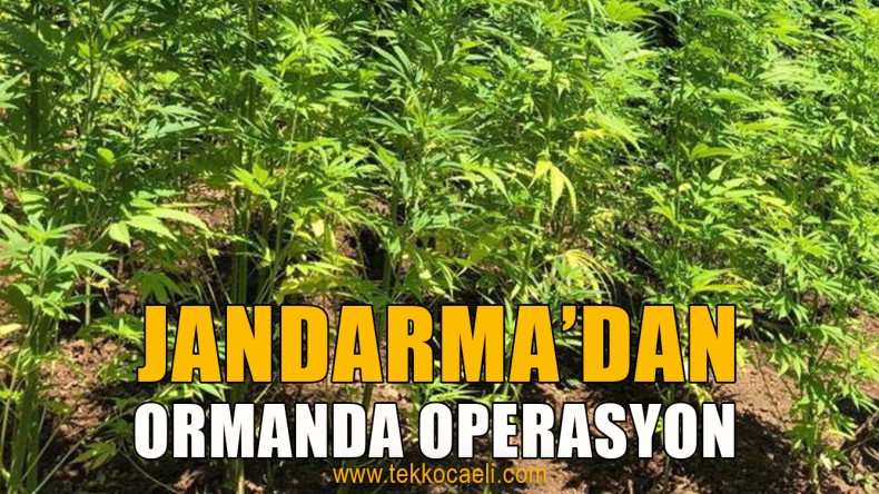 Jandarma’dan 2 Ayrı Noktaya Operasyon