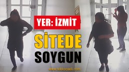 Site Hırsızları Çayırova’da Yakalandı