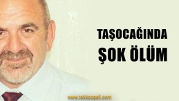 Aracının Yanında Ölü Bulundu