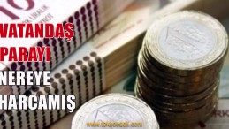 Vatandaş Parayı En Çok Nereye Harcadı