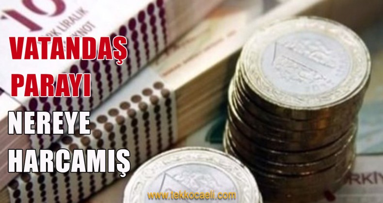 Vatandaş Parayı En Çok Nereye Harcadı
