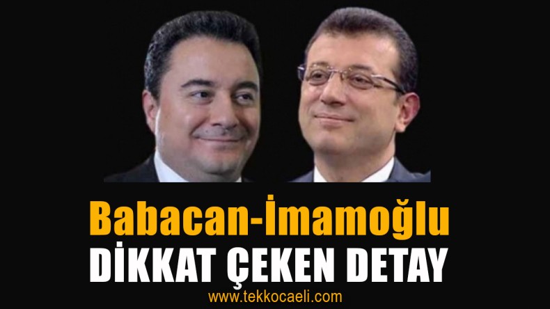 Ali Babacan, Ne Yapacak?