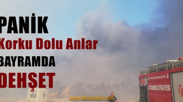 Aynı Günde 27 Bölgede Yangın