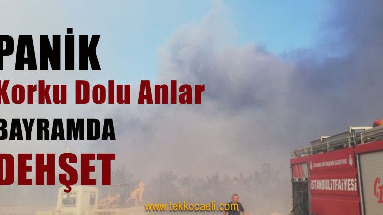 Aynı Günde 27 Bölgede Yangın