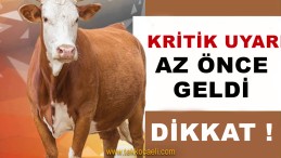 Kocaeli’ye Bayram Öncesi Kritik Uyarı