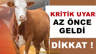 Kocaeli’ye Bayram Öncesi Kritik Uyarı