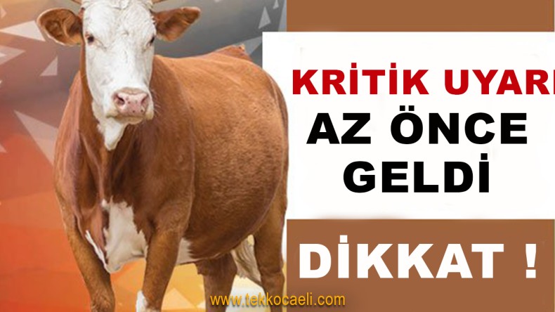 Kocaeli’ye Bayram Öncesi Kritik Uyarı