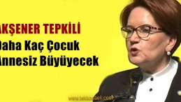 Kadın Cinayeti Haberleri Akşener’i Çileden Çıkardı