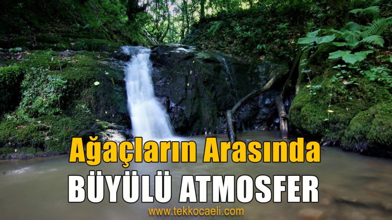 Doğa Güzelliği ile Büyüleyen Parkur; “Nüzhetiye Şelalesi”