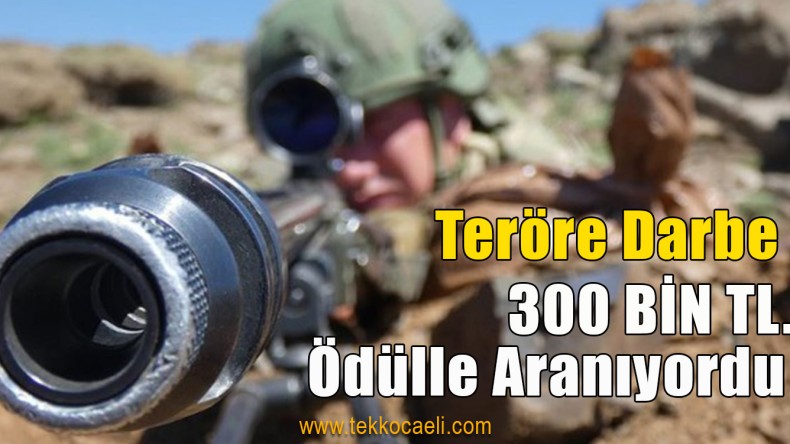 Mehmetçik’ten Teröre Darbe