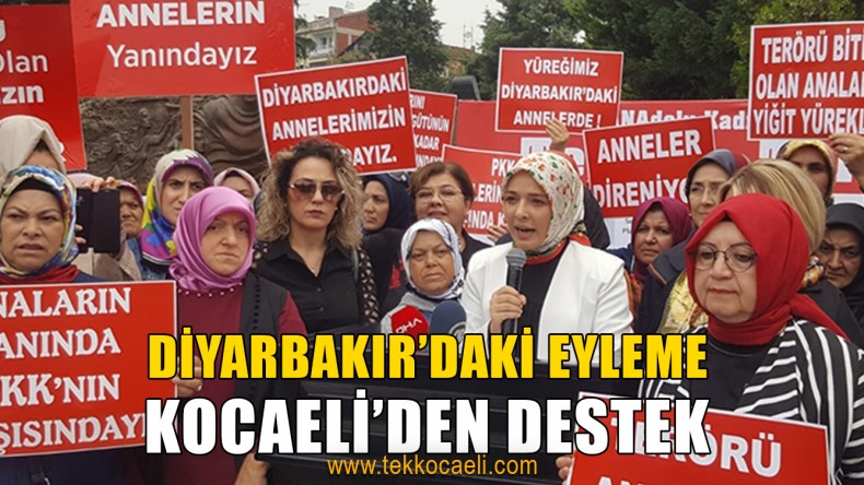 Diyarbakır Annelerine Destek