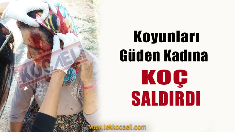 Öfkelenen Koç, Kadına Saldırdı