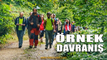 Kayaüstü Yaylasında Bakın Ne Yaptılar