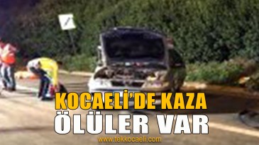 Korkunç Kazada Can Verdiler