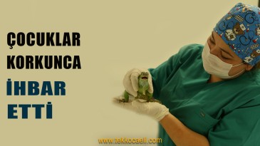 Kozluk Mahallesinden Gelen İhbar Şaşırttı