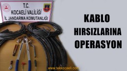 Hırsızlık Çetesi Çökertildi