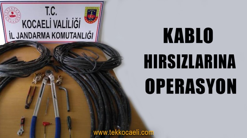 Hırsızlık Çetesi Çökertildi