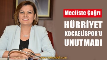 Meclis Üyelerini Maçlara Davet Etti