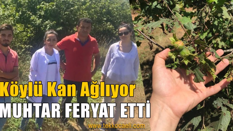 Ak Partili Vekillere Çağrı; Bakanlığı Harekete Geçirin