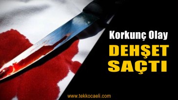 4 Yerinden Bıçaklanan Kadın Öldü