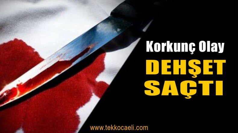 4 Yerinden Bıçaklanan Kadın Öldü