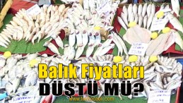 İşte Balık Fiyatları