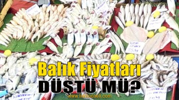 İşte Balık Fiyatları