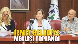 Meclis Yetki Vermedi, Komisyona Havale Etti