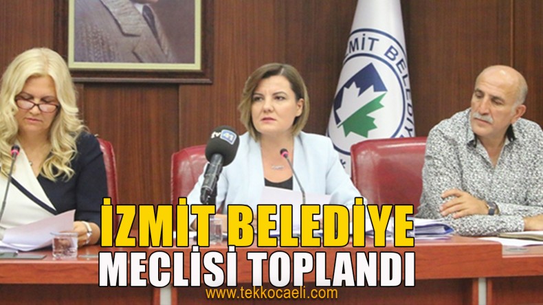 Meclis Yetki Vermedi, Komisyona Havale Etti