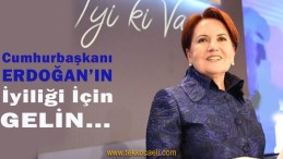 Meral Akşener’den Cumhurbaşkanı Erdoğan’a Çağrı