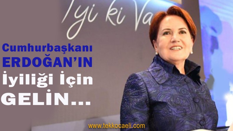Meral Akşener’den Cumhurbaşkanı Erdoğan’a Çağrı