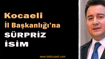 Ali Babacan’ın Partisinde İl Başkanı Kim Olacak?