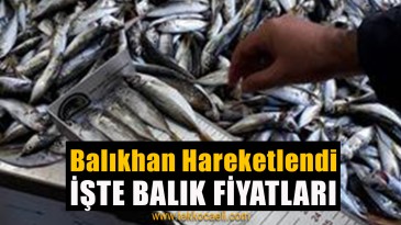 Balık Çeşitleri Attı, Balıkhan Hareketlendi